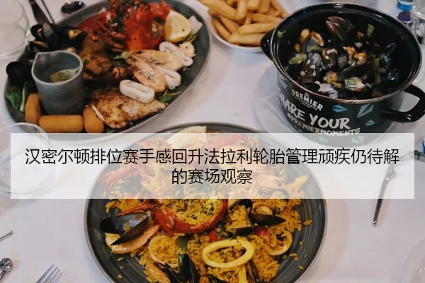 汉密尔顿排位赛手感回升法拉利轮胎管理顽疾仍待解的赛场观察